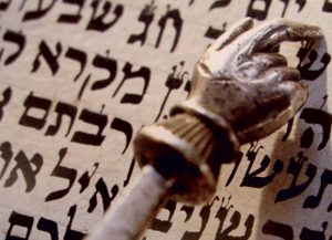 תובנות ופירושים מקוריים לתורה